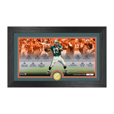 Dan Marino Dolphins Career Timeline Bronze Coin Pano Photo Mint - Creations and Collections