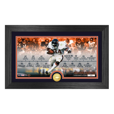 Walter Payton Bears Career Timeline Bronze Coin Pano Photo Mint - Creations and Collections